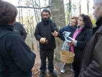 Curso de micología Curso de micología